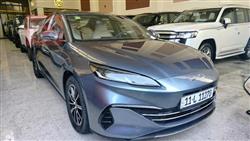 بي واي دي سيليون 06 DM-i